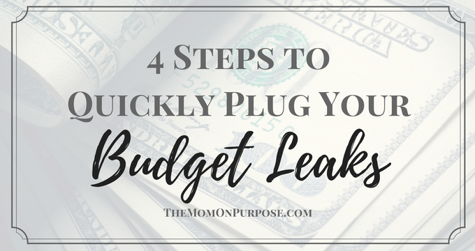 4 Steps to Quickly Plug Your Budget Leaks Fast!