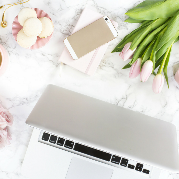 January 2017 Blogging Income Report