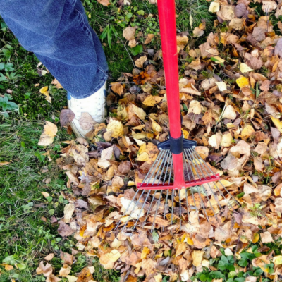 Fall Cleaning Checklist