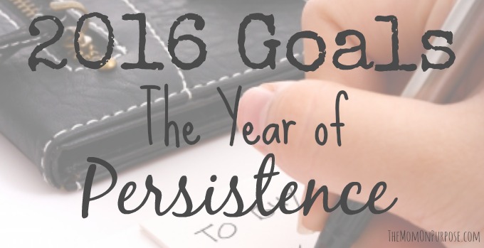 2016 Goals The Year of Persistence