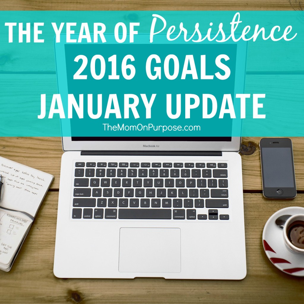 January 2016 Goals Update