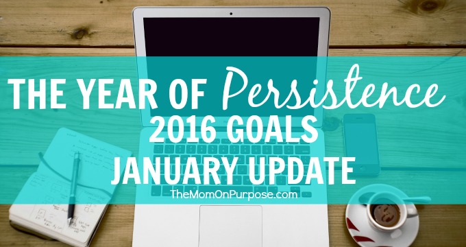 The Year of Persistence – 2016 Goals January Update