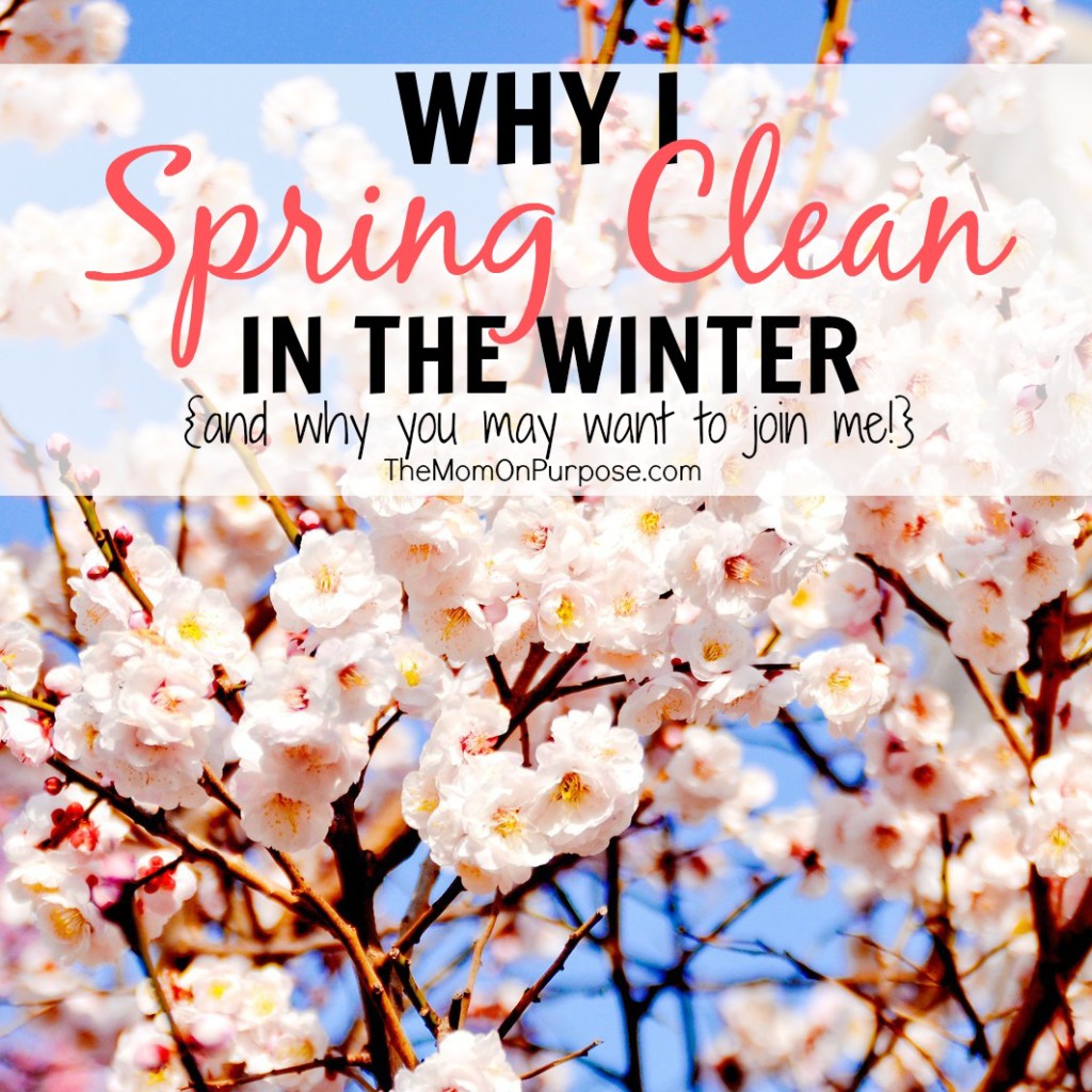 Why I Spring Clean in the Winter
