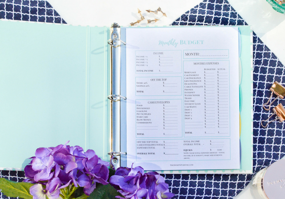 Looking for ways to organize your finances for 2017? This printable budget planner will more than fit the bill with 13 printables just for you! Pop on over and grab yours!